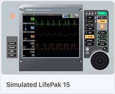 Simulated-LifePak-15-screen.jpg